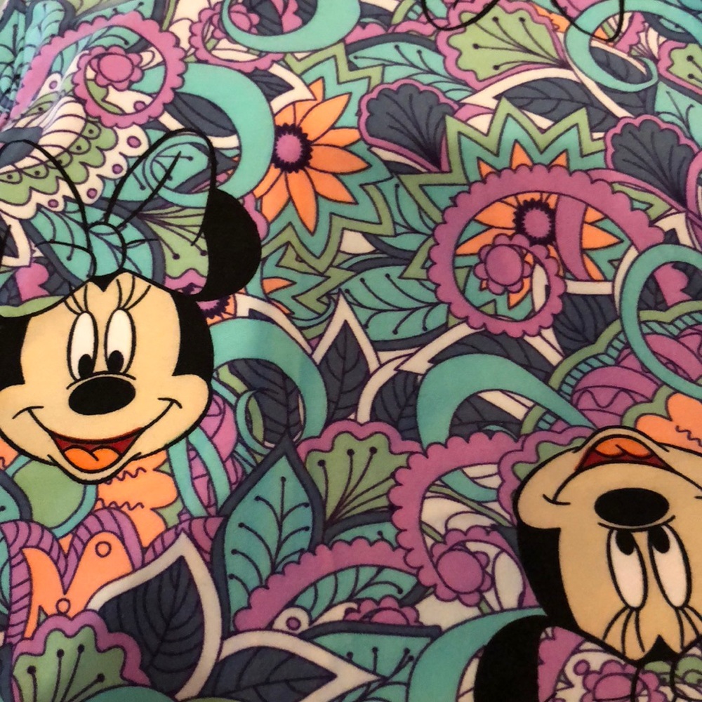 Lularoe TC Disney Minnie floral paisley leggings
